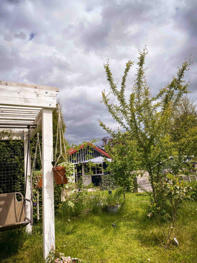 Symboldbild für Gartengestaltung Ideen
