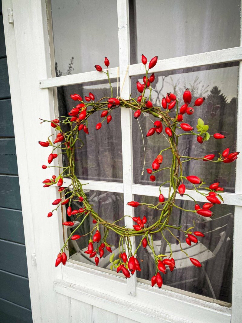 Hagebuttenkranz an der Glasscheibe einer Gartenlaubentür