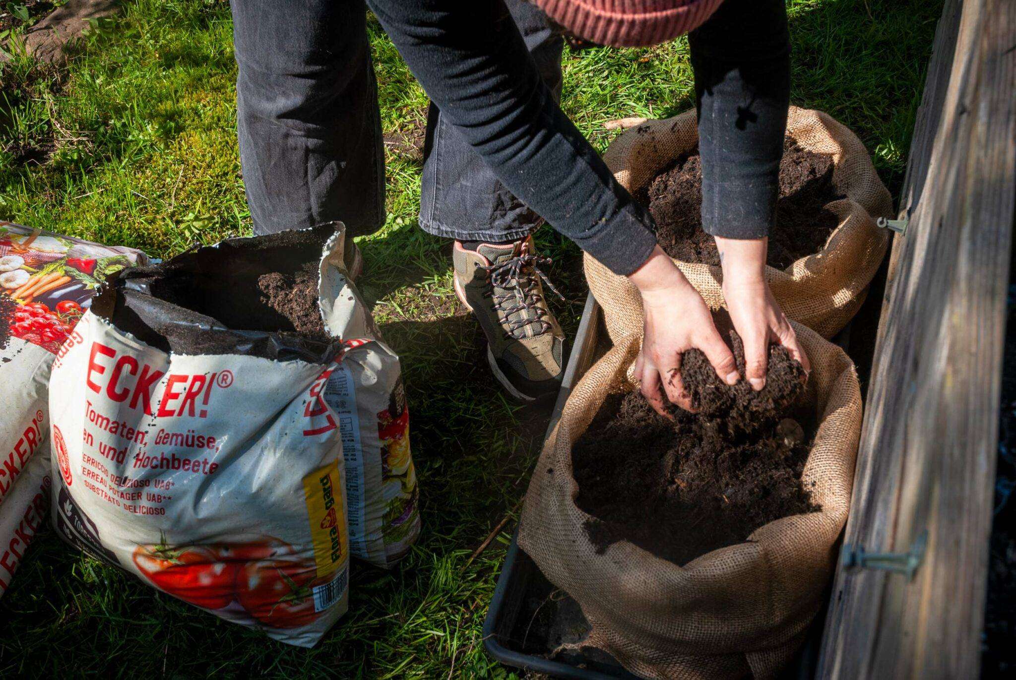 Kartoffeln im Sack anbauen: Tipps plus FAQs – Ein Stück Arbeit