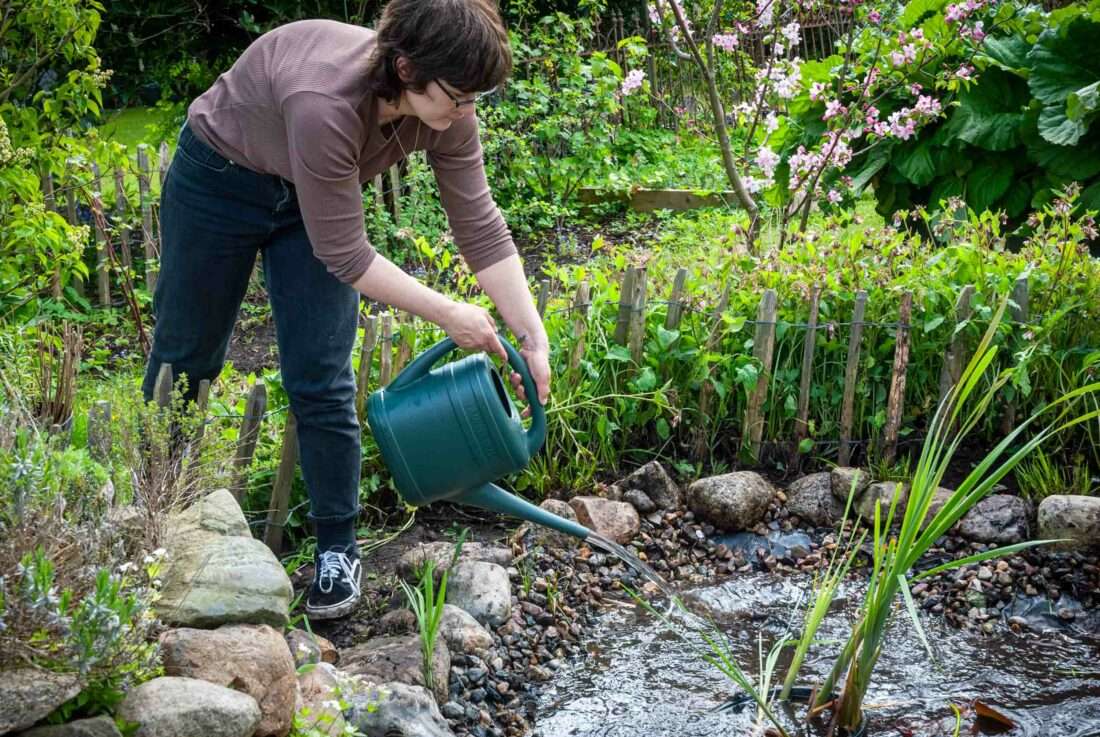 Eine Frau gießt Wasser mit einem Schlamm-Abbau-Produkt in einen Teich.