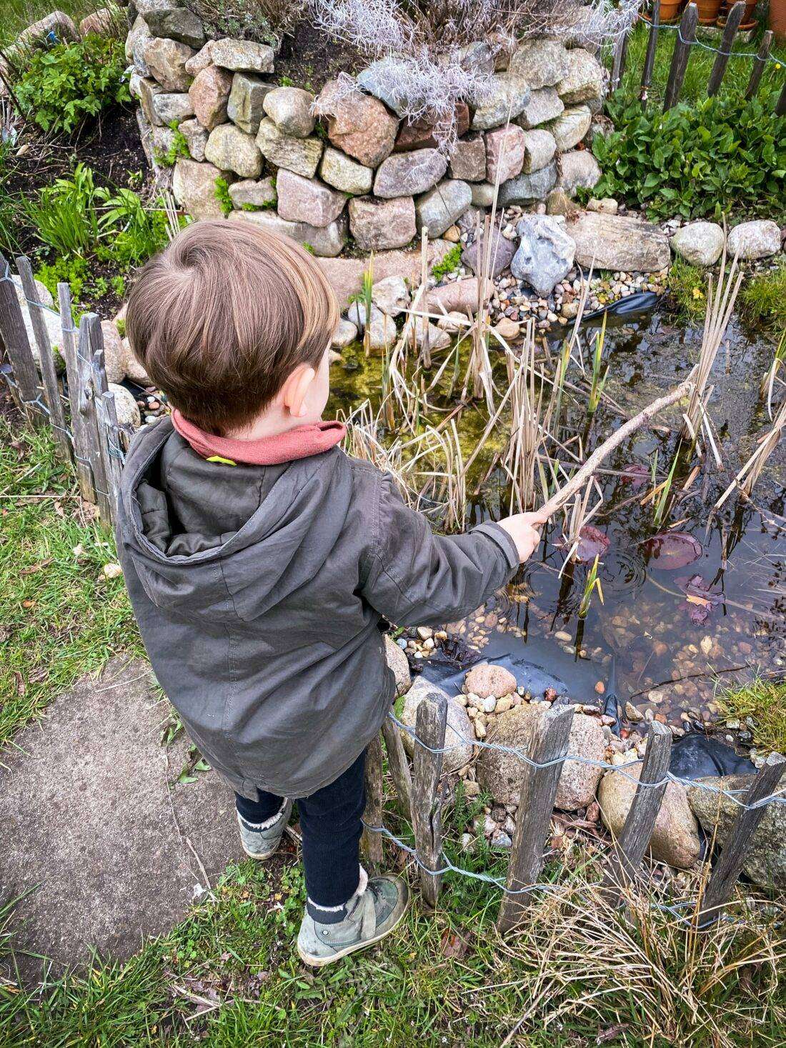 Teichpflege: Blick über die Schulter eines Jungen an einem Gartenteich. Der Teich ist dank der Bepflanzung klar. 