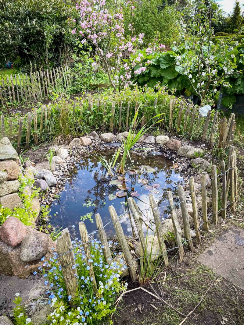 Ein gepflegter Naturteich.