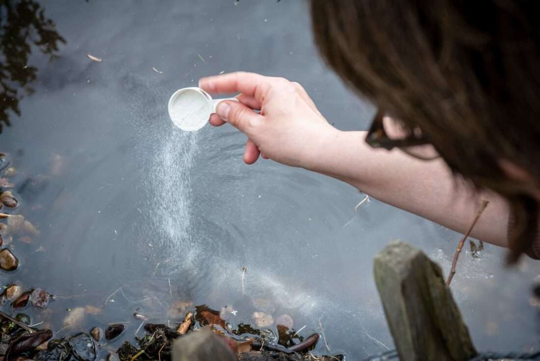 Eine Frau bringt ein Produkt zur Teichpflege in einen Teich ein.