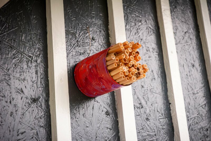 Ein Insektenhotel aus einer Dose hängt an einer Gartenlaube