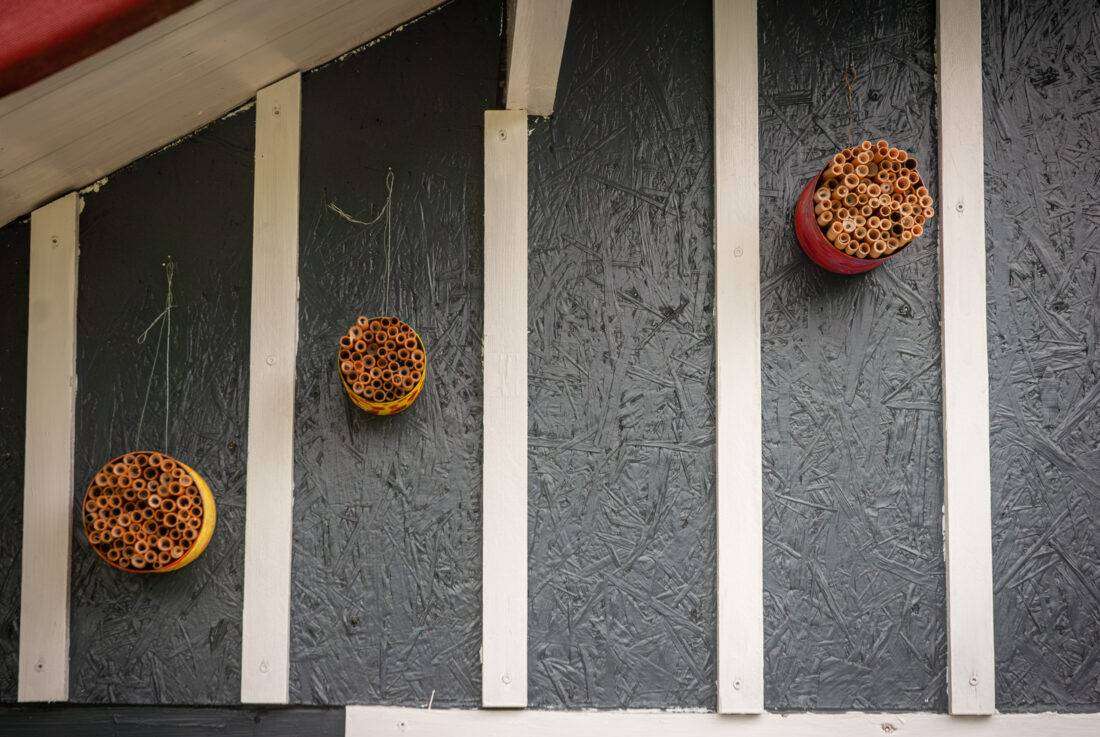 Drei Insektenhotels aus Dosen hängen an einer Gartenlaube.