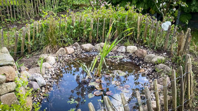 Wasserstellen im Garten