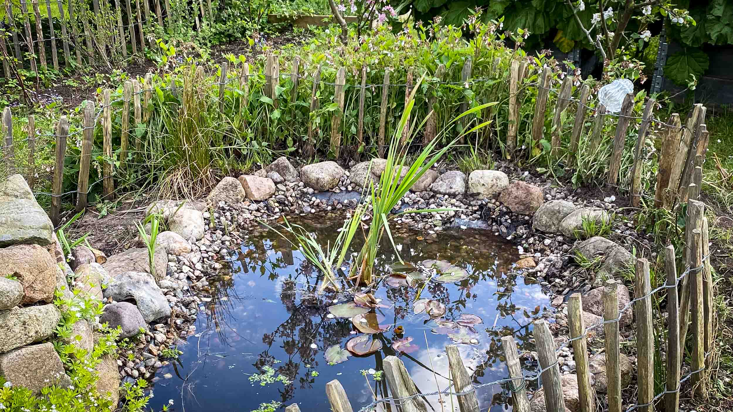 Wasserstellen im Garten