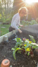 Gartenbloggerin Deborah Hucht sät im August Spinat in ein Hochbeet.