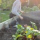 Gartenbloggerin Deborah Hucht sät im August Spinat in ein Hochbeet.
