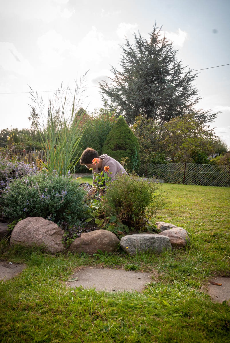 Deborah Hucht beim Pflanzen von Stauden 