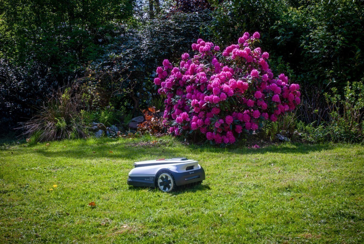 Ein ECOVACS Mähroboter fährt über einen Rasen. 