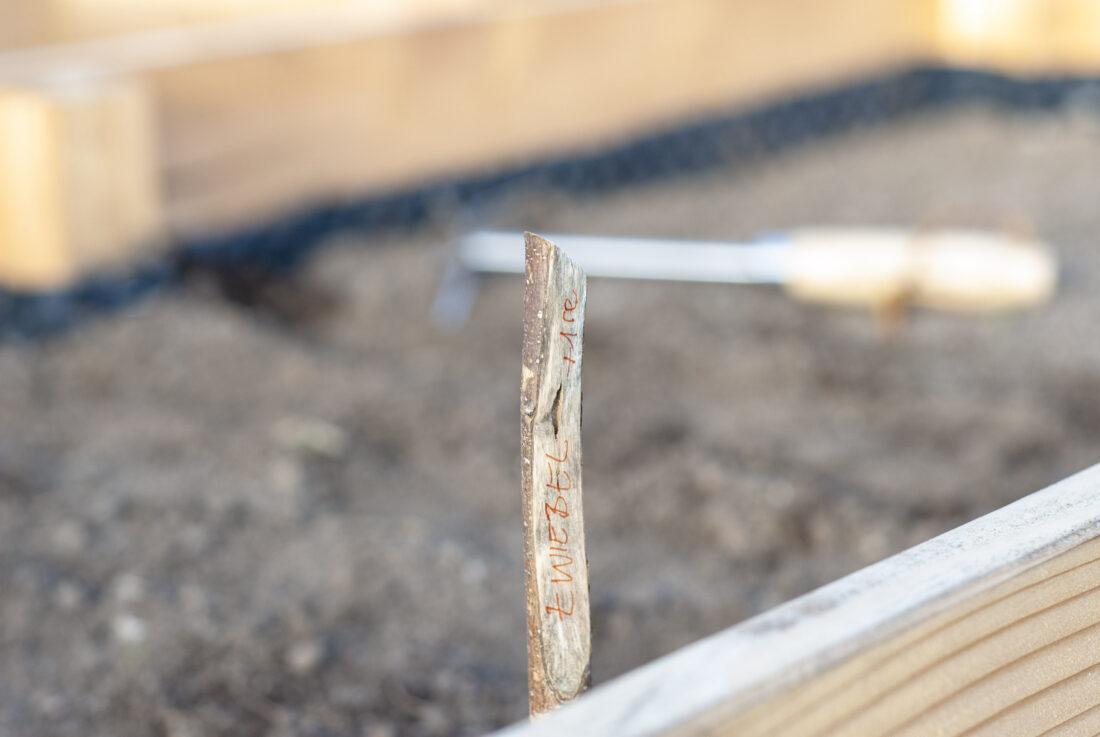 Ein Pflanzschild in einem Hochbeet, auf dem "Zwiebel" steht.