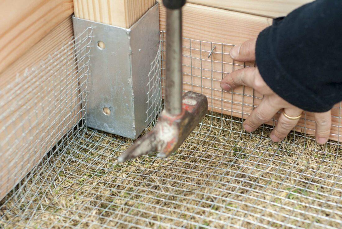 Mit einem Zimmermannshammer wird eine Krampe in einen Draht für ein Hochbeet eingeschlagen. 