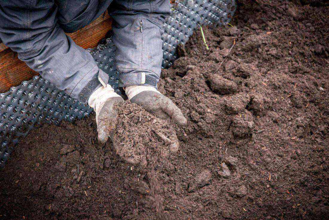 Close-up einer Frau, die eine Handvoll Kompost in die Kamera hält. 