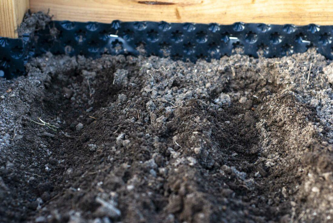 Saatreihe in einem hochbeet.