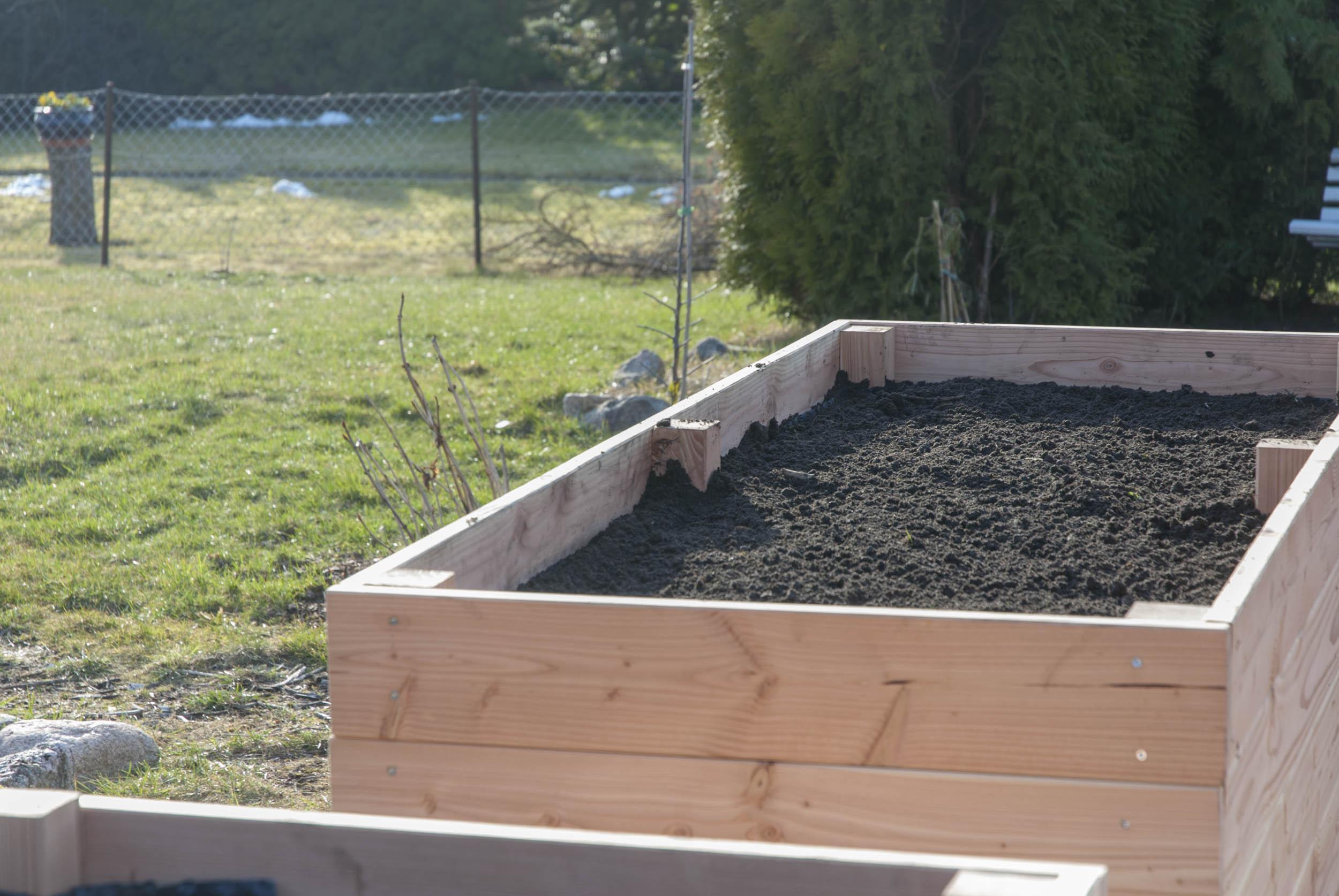 Das frisch befüllte Hochbeet.