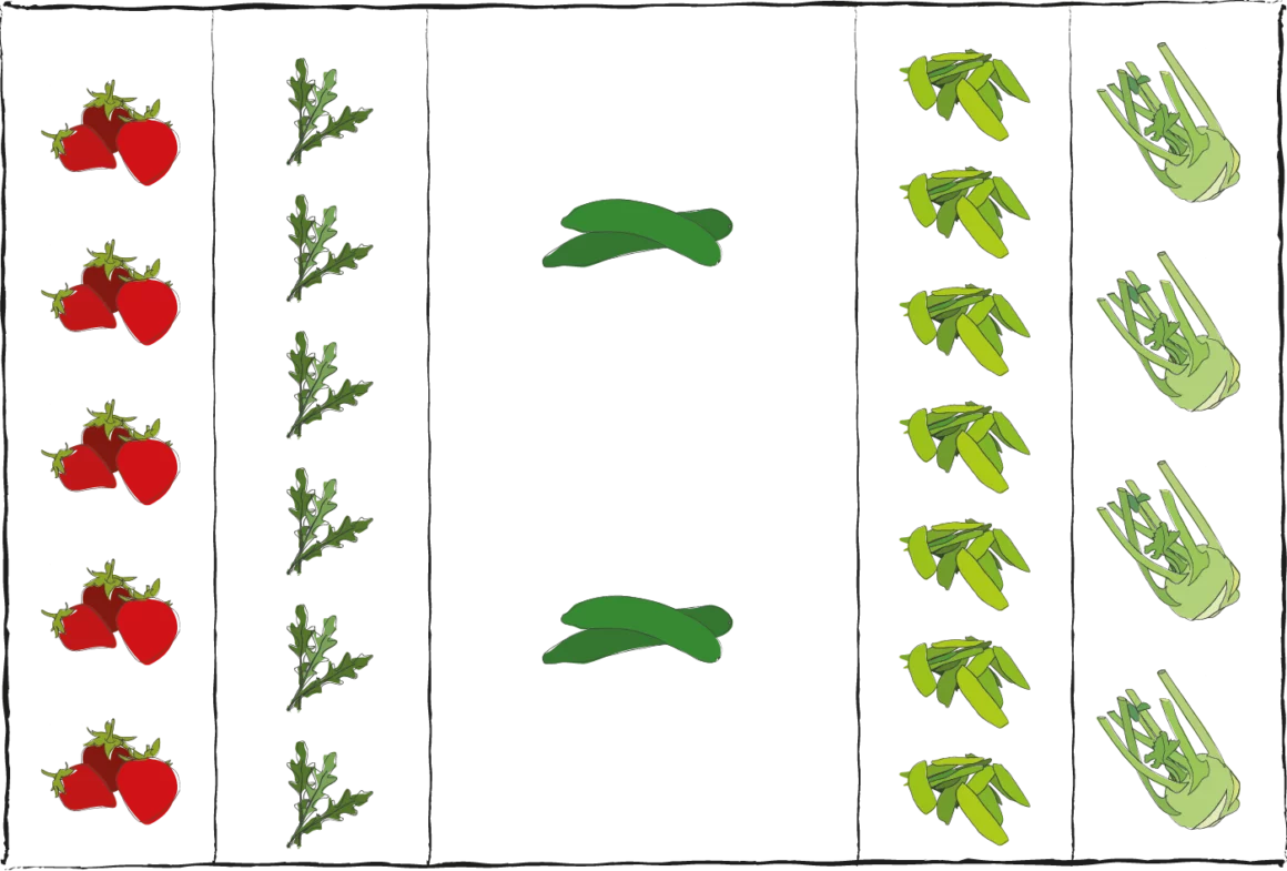 Grafik mit einem Beetplan für ein Kinder-Hochbeet. 