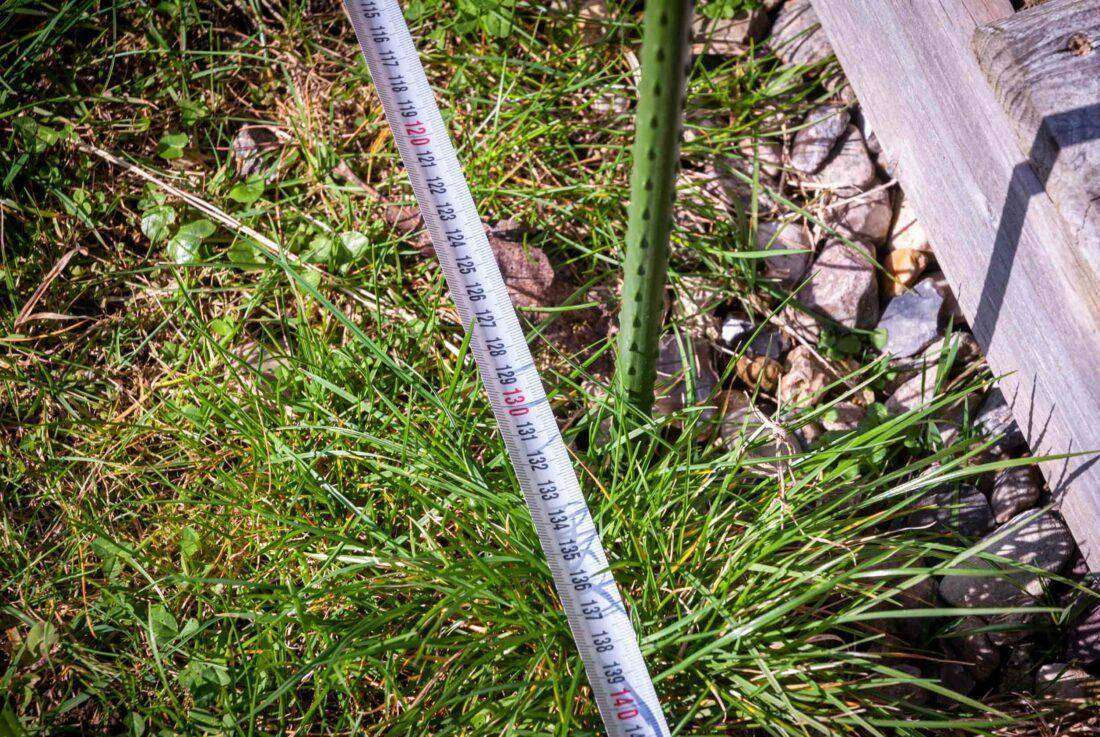 Detailansicht eines Maßbandes, das vor einer Terrasse liegt. 