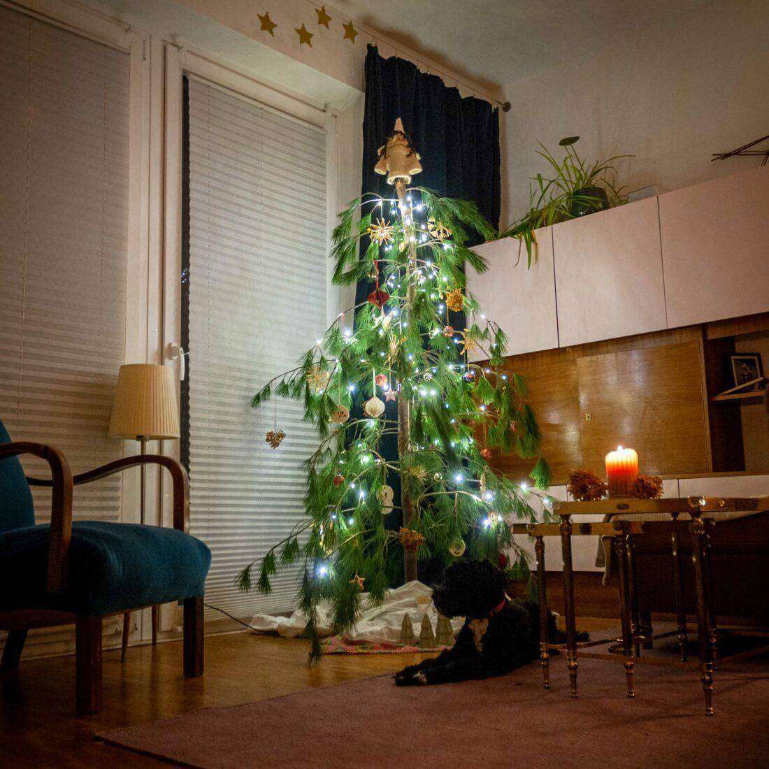 Ein Baum aus Ästen steht in einem Wohnzimmer