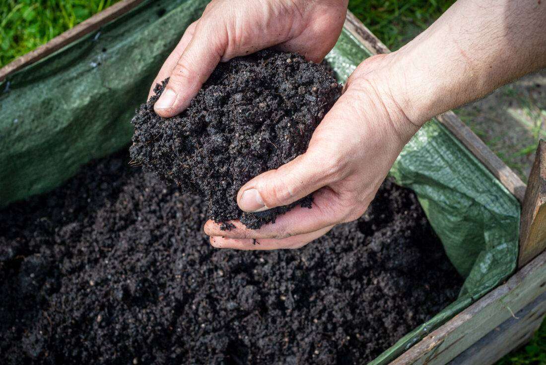 Die Kiste wird mit Erde befüllt.