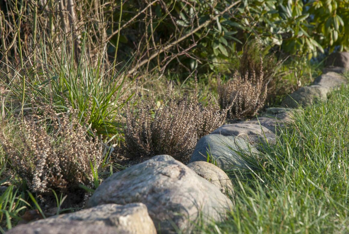 Beeteinfassungen Ideen: Nahaufnahme eines Blumenbeetes, das mit Natursteinen eingefasst ist.