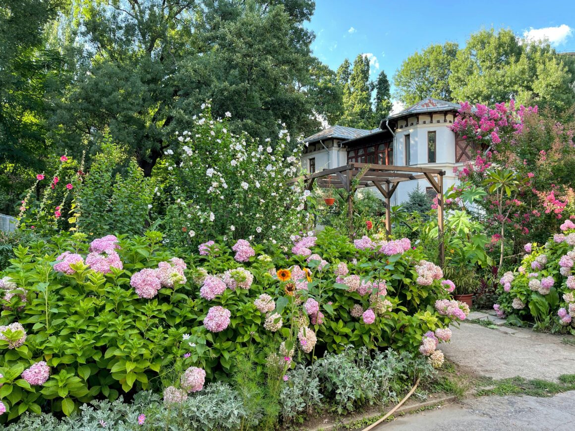 Foto eines Hauses mit einem üppig bepflanzten Vorgarten