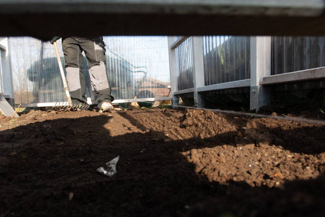 Der Boden eines Gewächshauses wird glattgeharkt.