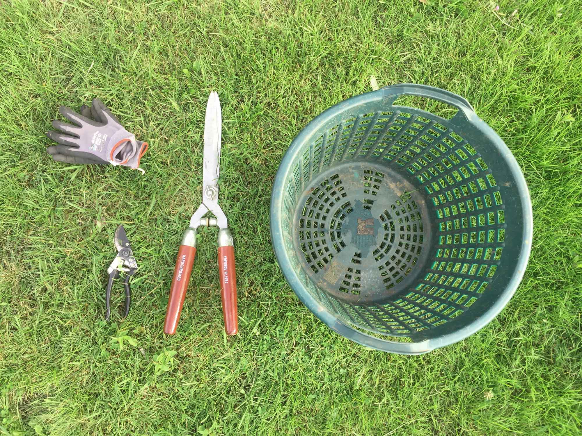 Hecke schneiden: Heckenschere, Gartenschere, Handschuhe, Abfallkorb.