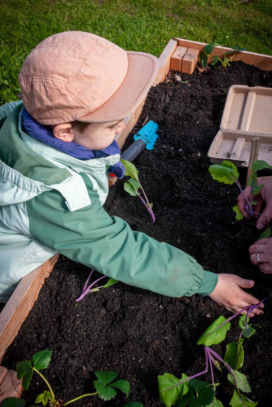 ein kleiner Junge beim Bepflanzen eines Hochbeets für Kinder