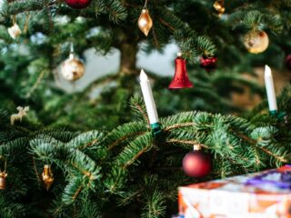 Featured image placeholder 16:9