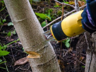 Featured image placeholder 16:9