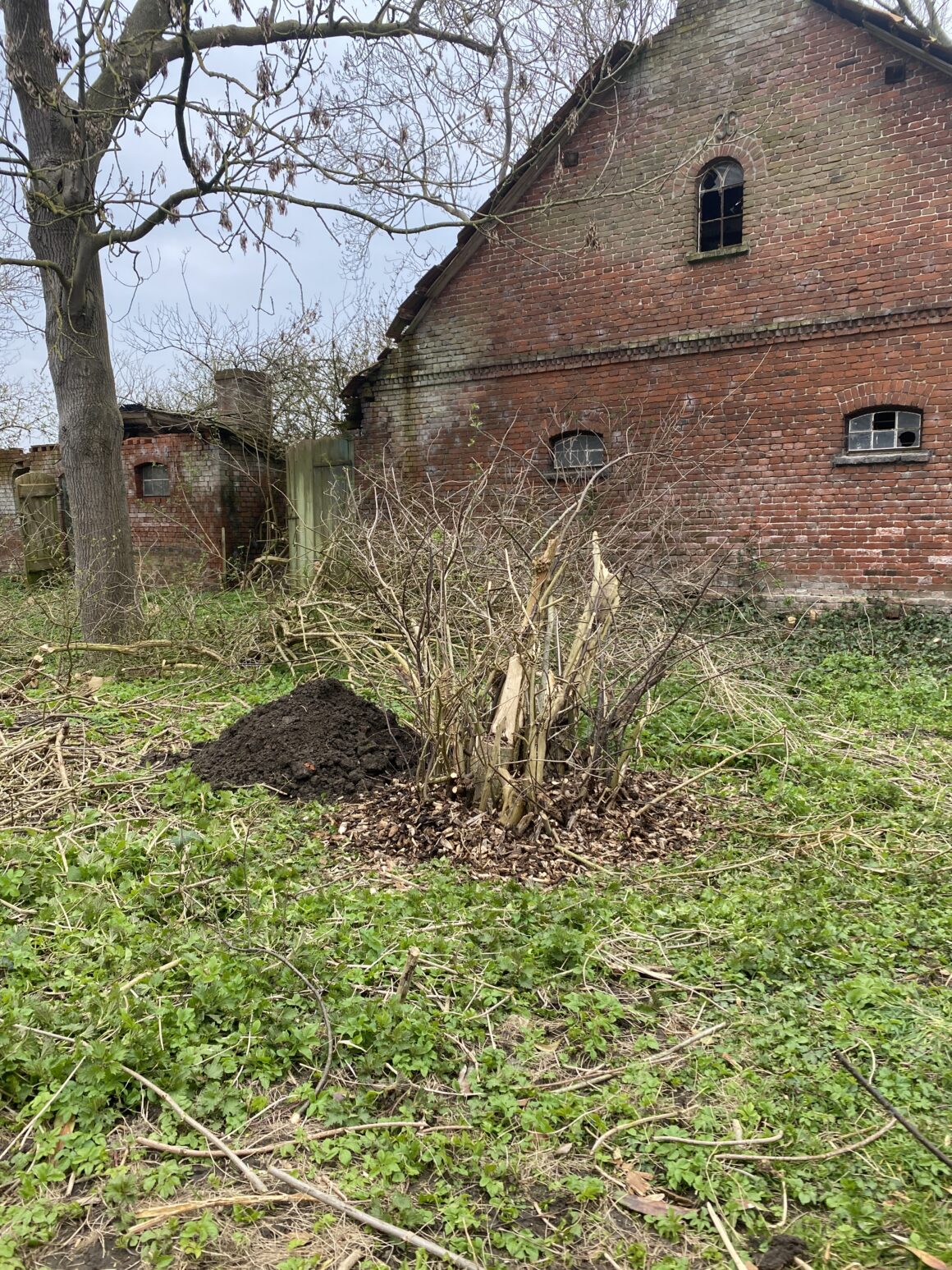 Ansicht eines Käferkellers auf einem Grundstück. 