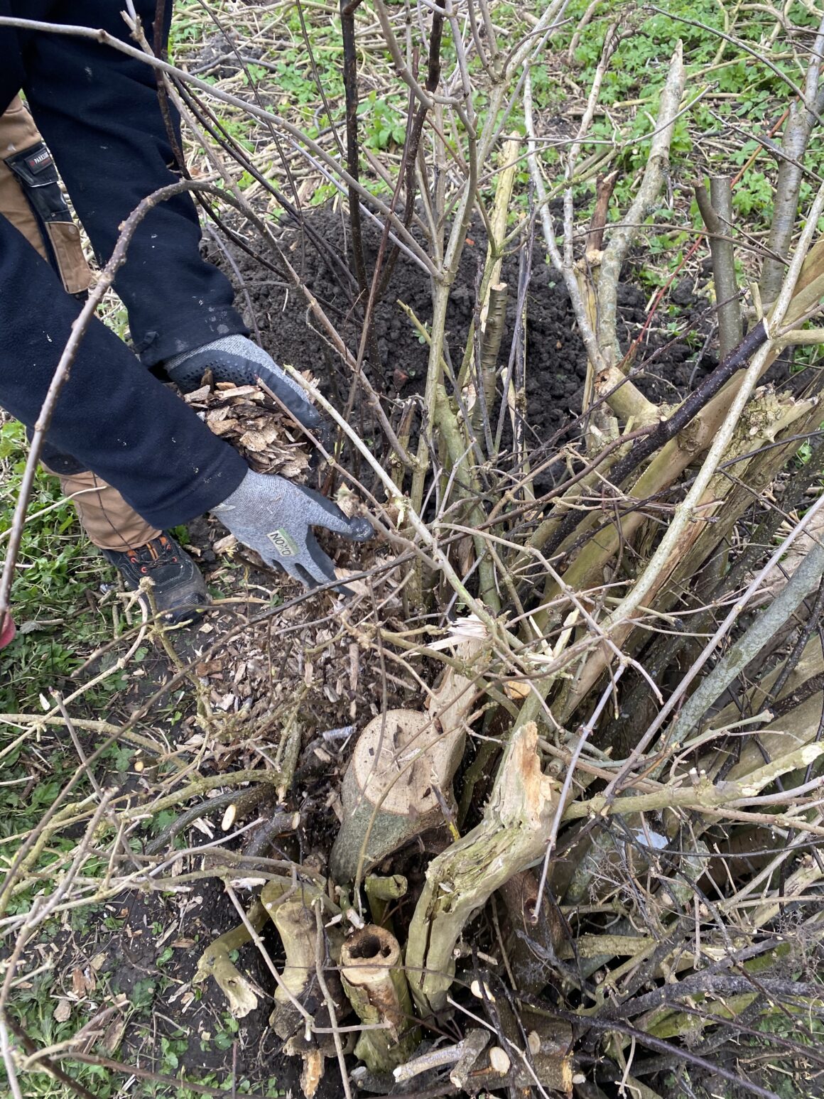 Florian Hucht füllt einen Käferkeller mit Holzhackschnitzen. 